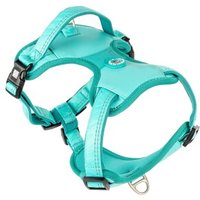 Max & Molly Sport Geschirr - Matrix 2.0 türkis M Max & Molly Sport Geschirr - Matrix 2.0 türkis M