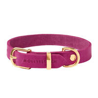 Molly & Stitch Butter Leder Hundehalsband