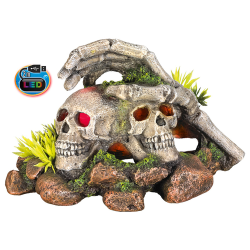 Nobby Aquariendekoration Totenköpfe & Pflanzen mit LED Nobby Aquariendekoration Totenköpfe & Pflanzen mit LED