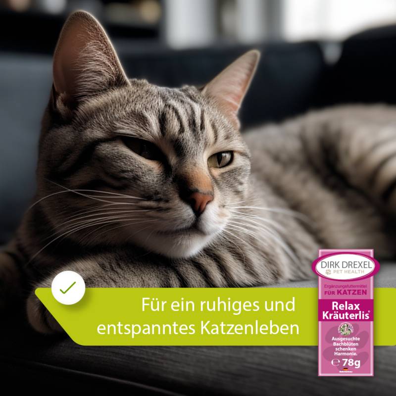 Notfall Booster Katzen