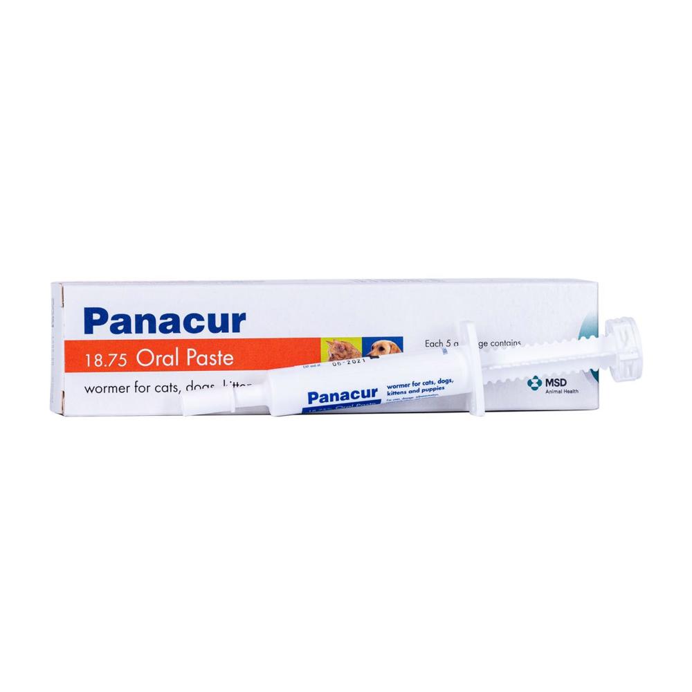 Panacur Paste For Cats And Dogs 1 Pack