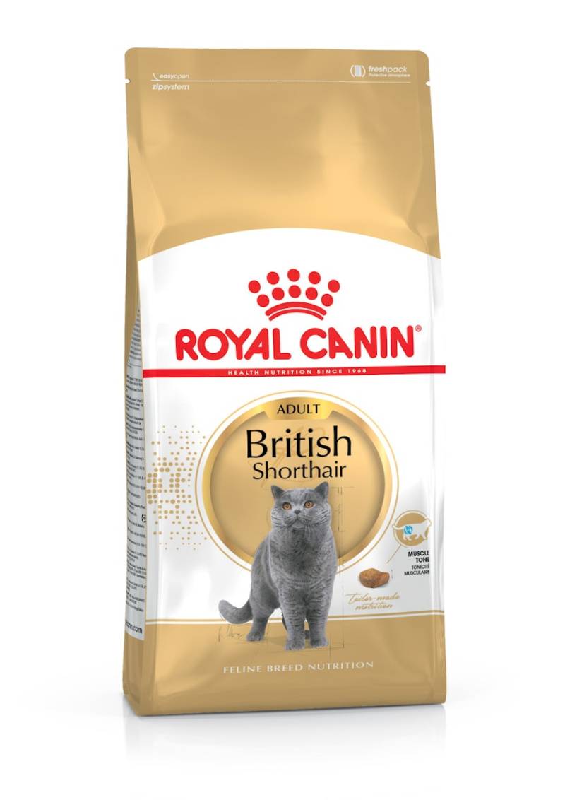 ROYAL CANIN FBN British Shorthair Adult Katzentrockenfutter 10 Kilogramm