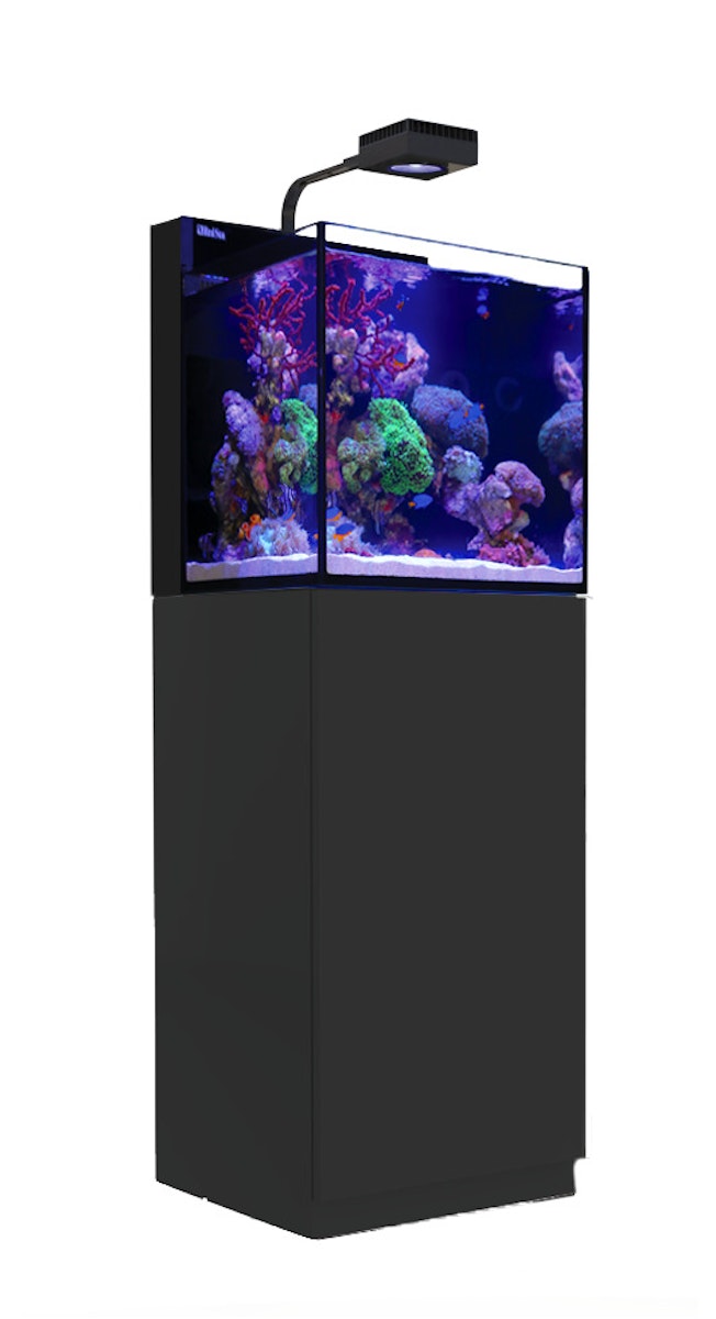 Red Sea MAX NANO Cube G2 mit Schrank Aquarium mit Schrank schwarz