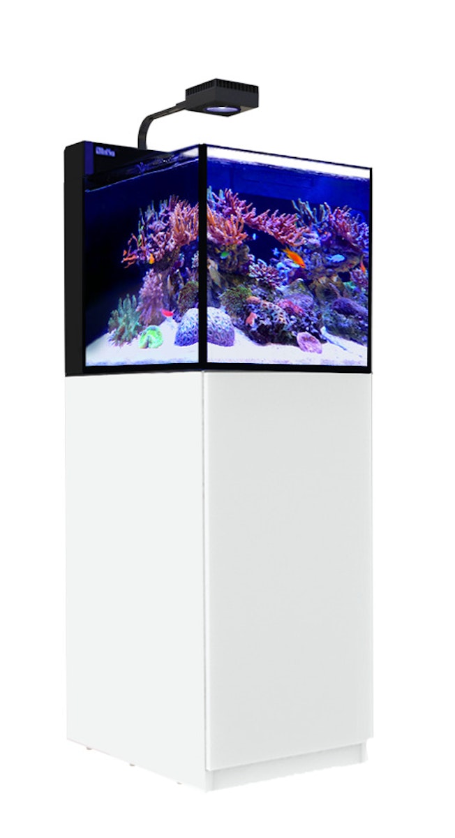 Red Sea MAX NANO Peninsula G2 mit Schrank Aquarium mit Schrank weiß