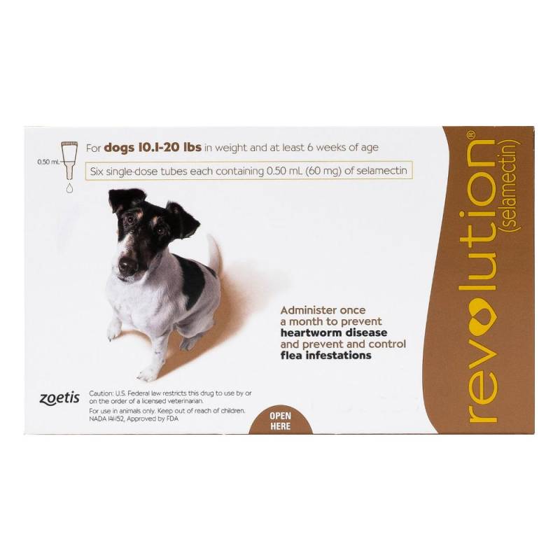 Revolution For Small Dogs 5.1 To 10kg (Brown) 12 Pack