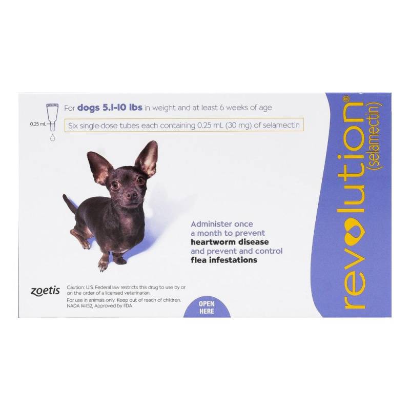 Revolution For Very Small Dogs 2 To 5kg (Purple) 12 Pack