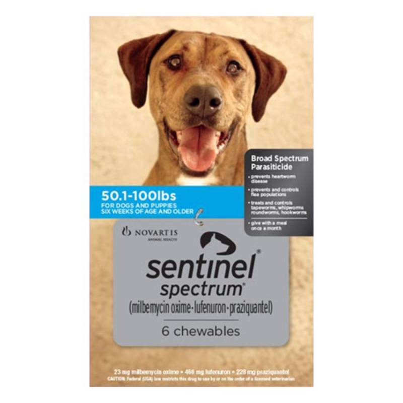 Sentinel Spectrum Tasty Chews For Large Dogs 22-45kg (50 To 100lbs) Blue 12 Chews