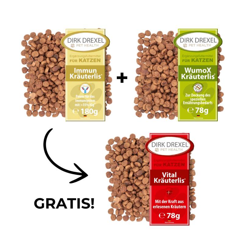 Spar-Bundle Katzen