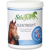 Stiefel Elektrolyt 1 kg von Stiefel