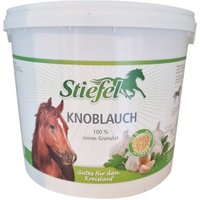 Stiefel Knoblauch 3 kg von Stiefel