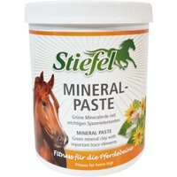 Stiefel Mineral-Paste 2 kg von Stiefel