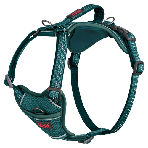 The Company of Animals Hundegeschirr Anatomy Harness Teal, Größe: XL The Company of Animals Hundegeschirr Anatomy Harness Teal, Größe: XL