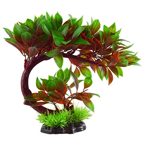 Underwater Treasures Rote Ludwigia Bonsai von Underwater Treasures