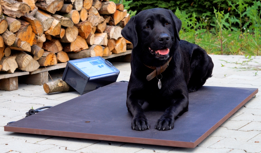 Wärmeplatte Plus 67 x 105 cm für SAUERLAND Hundehütte bis 70 cm Widerristh. (Inn... Wärmeplatte Plus 67 x 105 cm für SAUERLAND Hundehütte bis 70 cm Widerristh. (Inn...