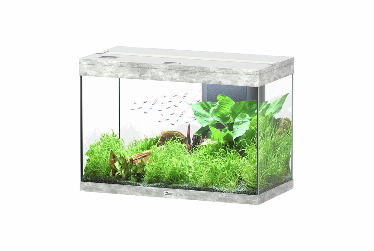 aquatlantis Splendid 145 Steinoptik Aquarium mit Unterschrank Aquarium