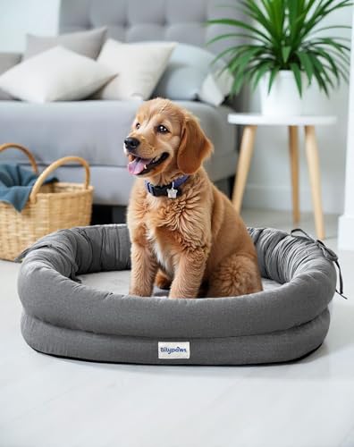 bilypaws Orthopädisches Hundebett für kleine Hunde, kaufestes Haustier-Sofabett mit Eierkisten-Schaumstoff, 4-seitige Nackenrolle, abnehmbarer, waschbarer Bezug und rutschfester Unterseite, klein, von bilypaws