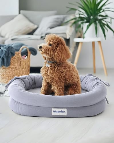 bilypaws Orthopädisches Hundebett für kleine Hunde, kaufestes Haustier-Sofabett mit Eierkisten-Schaumstoff, 4-seitige Nackenrolle, abnehmbarer, waschbarer Bezug und rutschfester Unterseite, klein, von bilypaws