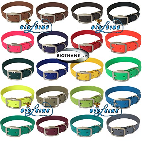 bio-leine Biothane Hundehalsband mit Dornschnalle – Halsband für kleine und große Hunde I schmutz- und wasserabweisend I Blau - Halsumfang 30-40 cm von bio-leine