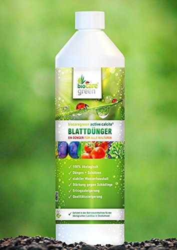 biocaregreen Natur Zeolith Nahrungsergänzung für Pferde, 1000 g von biocaregreen Natur Zeolith