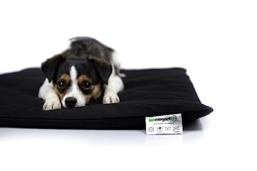 biomagnet24®, 80cm x 60cm Magnetfeldmatte, Magnetfelddecke, Magnetfeldtherapie für Tiere, zur Behandlung bei Arthrose, Spondylose, Hüftgelenksdysplasie, Ellenbogendysplasie beim Hund und Katze von biomagnet24