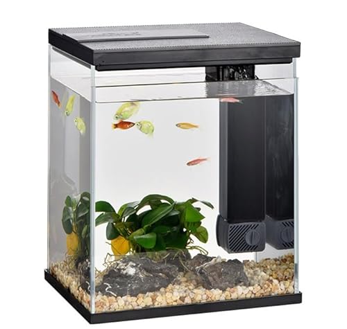 Kleines Betta-Fischtank, Glas-Aquarium-Starter-Set, kleines Aquarium mit Filter und Licht, Mini-Goldfischbecken (Farbe: Schwarz) von bleslin