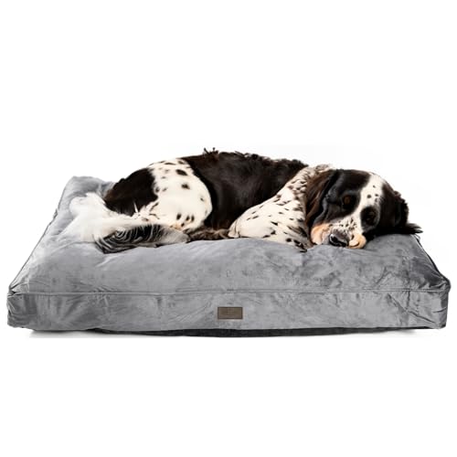 bo&flash Design Hundekissen Madison Dark Grey XL – Formstabiles & Komfortables Hundebett – Hundematte mit waschbarem Bezug – Dog Bed rutschfest & stylisch – Hunde Kissen in Premium Qualität von bo&flash