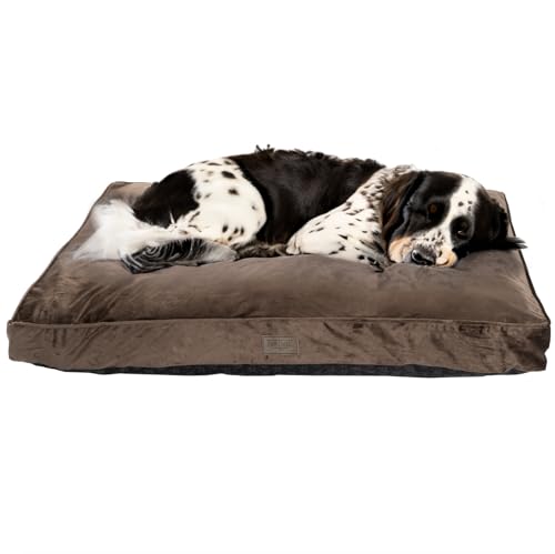 Bo & Flash Design Hundekissen für kleine Hunde – Trendige Liegematte Madison – Waschbar und ohne Schadstoffe – Liegekissen Flach mit Anti-Rutsch-Beschichtung – M 50 X 80 X 10 cm – Taupe von bo&flash