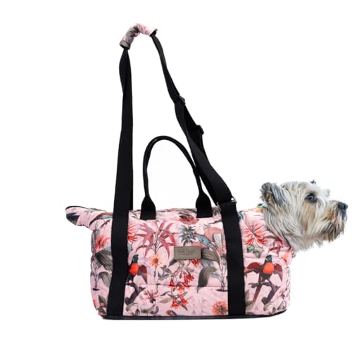 Bo & Flash Hundetragetasche Portland – Design Umhängetasche für kleine Hunde bis 7 Kg – mit Anti Rutsch Beschichtung – Waschbare Tragetasche 44 x 26 x 32 cm – Design Elodie von bo&flash