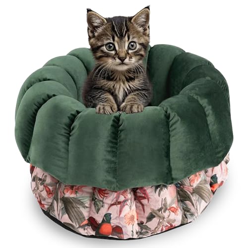 bo&flash Design Katzenbett Elodie – Kuscheliges Katzenbett 45x23 cm – Katzenkörbchen für einen gemütlichen Katzen Schlafplatz – waschbarer Katzenkorb – Flauschiges Katzen Zubehör von bo&flash