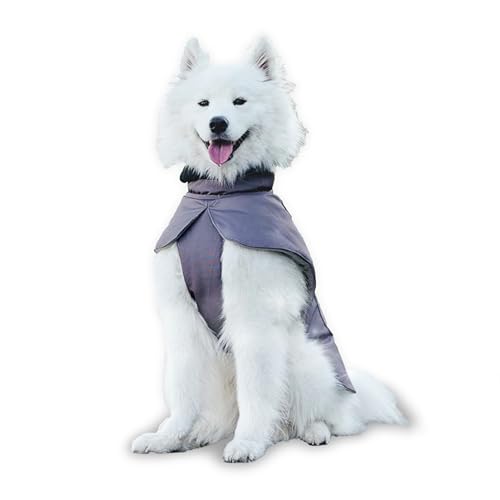 bo&flash Hunde Wintermantel Seattle Dark Grey Gr. M – Wasserdichter Hundemantel – gefütterter Hundemantel mit stylischem Design – Hunde Wintermantel mit Bauchschutz & reflektierenden Nähten von bo&flash