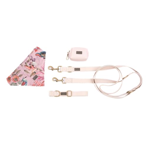 bo&flash Hundeleinen Set Charleston für kleine Hunde – Bequemes Hundehalsband mit 2,5 m Leine – 4 tlgs. Set aus veganem Leder mit verstellbarem Halsband und charmantem Halstuch – Elodie – S von bo&flash