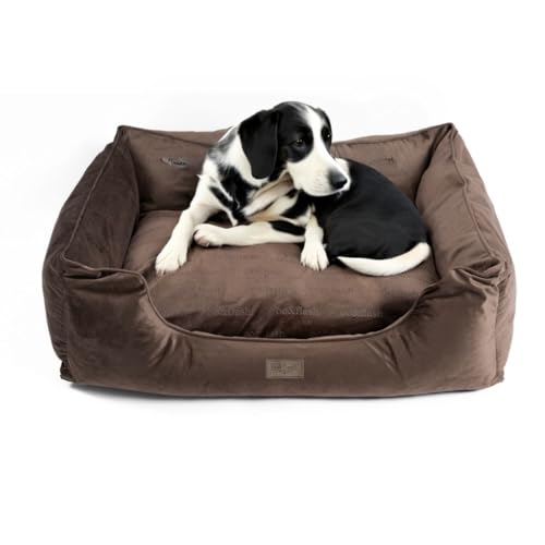 bo&flash Kuscheliges Hundebett Groß – Trendiges Hundekörbchen Austin – Hundesofa Gelenkschonend und Waschbar für große Hunde – XL 80 X 110 X 28 cm – Quadratisch mit Rand – Taupe von bo&flash