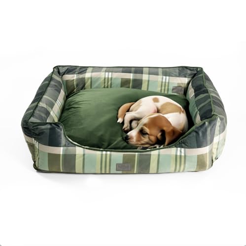 bo&flash Kuscheliges Hundebett Groß – Trendiges Hundekörbchen Austin – Hundesofa Gelenkschonend und Waschbar für Kleine Hunde – M 60 X 70 X 23 cm – Quadratisch mit Rand – Frank von bo&flash