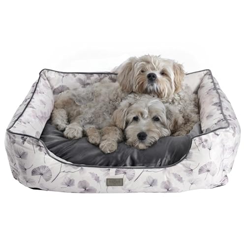 bo&flash Kuscheliges Hundebett Groß – Trendiges Hundekörbchen Austin – Hundesofa Gelenkschonend und Waschbar für kleine Hunde – M 60 X 70 X 23 cm – Quadratisch mit Rand – Lobna von bo&flash