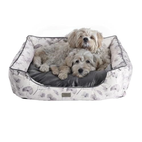 bo&flash Kuscheliges Hundebett Groß – Trendiges Hundekörbchen Austin – Hundesofa Gelenkschonend und Waschbar für Kleine Hunde – M 60 X 70 X 23 cm – Quadratisch mit Rand – Lobna von bo&flash