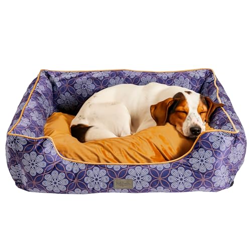 bo&flash Kuscheliges Hundebett Groß – Trendiges Hundekörbchen Austin – Hundesofa Gelenkschonend und Waschbar für Kleine Hunde – M 60 X 70 X 23 cm – Quadratisch mit Rand – Matthias von bo&flash