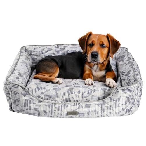 bo&flash Kuscheliges Hundebett Groß – Trendiges Hundekörbchen Austin – Hundesofa Gelenkschonend und Waschbar für kleine Hunde – M 60 X 70 X 23 cm – Quadratisch mit Rand – Peter von bo&flash