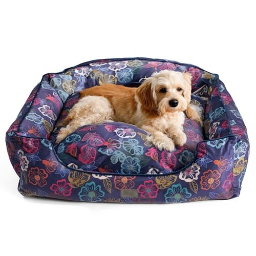 bo&flash Kuscheliges Hundebett Groß – Trendiges Hundekörbchen Austin – Hundesofa Gelenkschonend und Waschbar für kleine Hunde – M 60 X 70 X 23 cm – Quadratisch mit Rand – Sofie von bo&flash