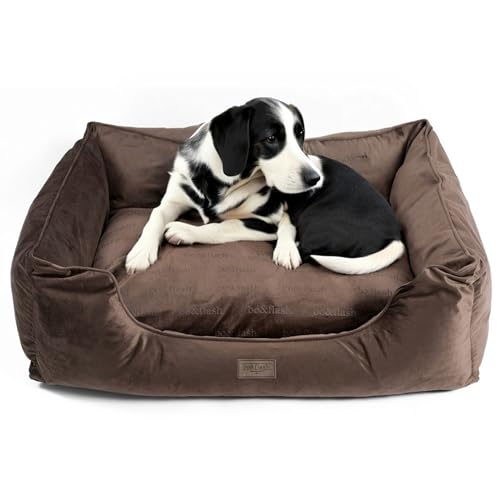 bo&flash Kuscheliges Hundebett Groß – Trendiges Hundekörbchen Austin – Hundesofa Gelenkschonend und Waschbar für kleine Hunde – M 60 X 70 X 23 cm – Quadratisch mit Rand – Taupe von bo&flash