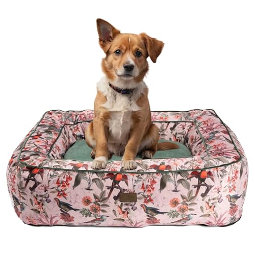 bo&flash Kuscheliges Hundebett Boise “Elodie” - L – Hundesofa für kleine Hunde & große Hunde – Design Hundebett waschbar – gelenkschonendes Hundebett mit Anti-Rutsch-Beschichtung von bo&flash