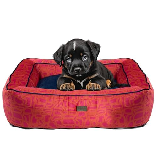 bo&flash Kuscheliges Hundebett Groß – Trendiges Hundekörbchen Boise – Hundesofa Gelenkschonend und Waschbar für kleine Hunde – M 60 X 70 X 20 cm – Quadratisch mit Rand – Chouk von bo&flash