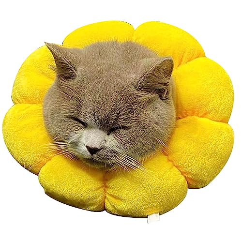 Weicher Katzenkegel - Verstellbarer Kragen in Sonnenblumenform aus Baumwolle,Atmungsaktives schützendes elisabethanisches Hundehalsband, süßes Erholungshalsband für Welpen, Kätzchen Boiler von boiler
