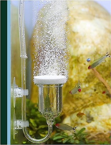 Aquarium Luftstein, Zubehör für Aquarienluftpumpen Kit mit Steuerventil Leise Super-High Diffusor für gelösten Sauerstoff Lässt Super Tiny Bubbles für Aquarium und Hydroponic (35mm) von boxtech