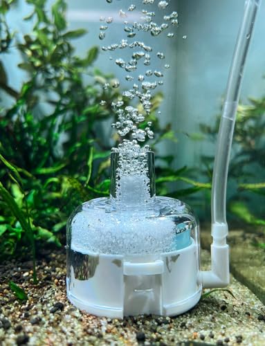 boxtech Aquarium Filter, mit Physikalisch Schwammfilter und Biochemischen Filtermaterial aus Tonkugeln, Ideal für Kleine Runde Aquarien (BT301 Filter) von boxtech