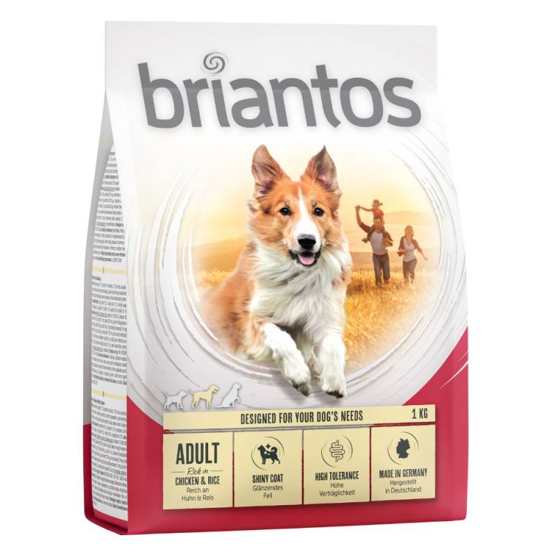 Briantos Adult Huhn & Reis - Sparpaket: 4 x 1 kg von briantos