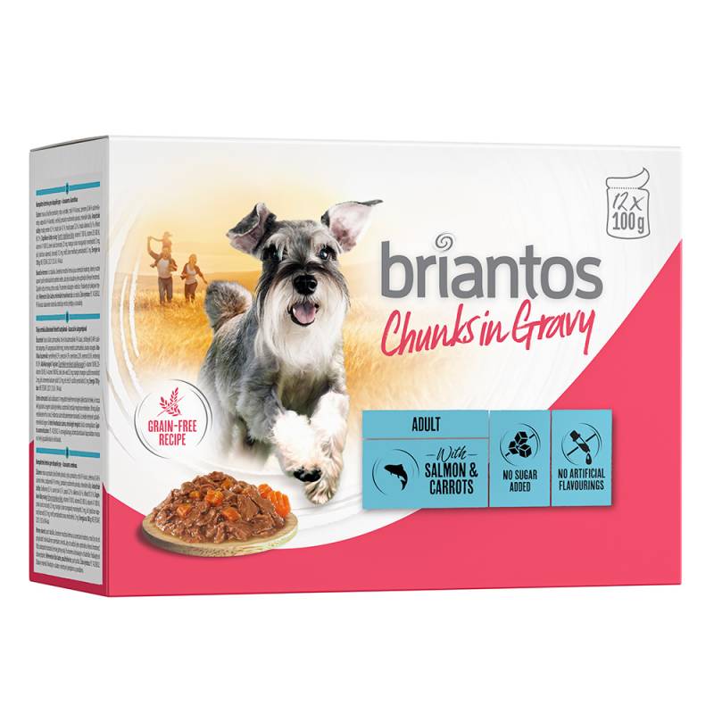 Briantos Chunks in Gravy 12 x 100 g -  Lachs & Karotten von briantos