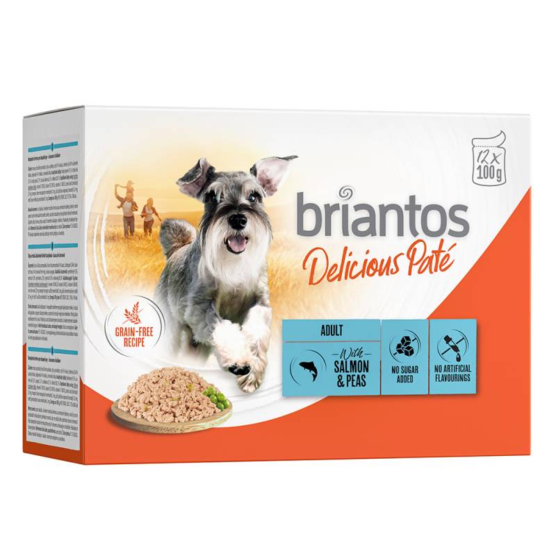 Briantos Delicious Paté 12 x 100 g - Lachs von briantos