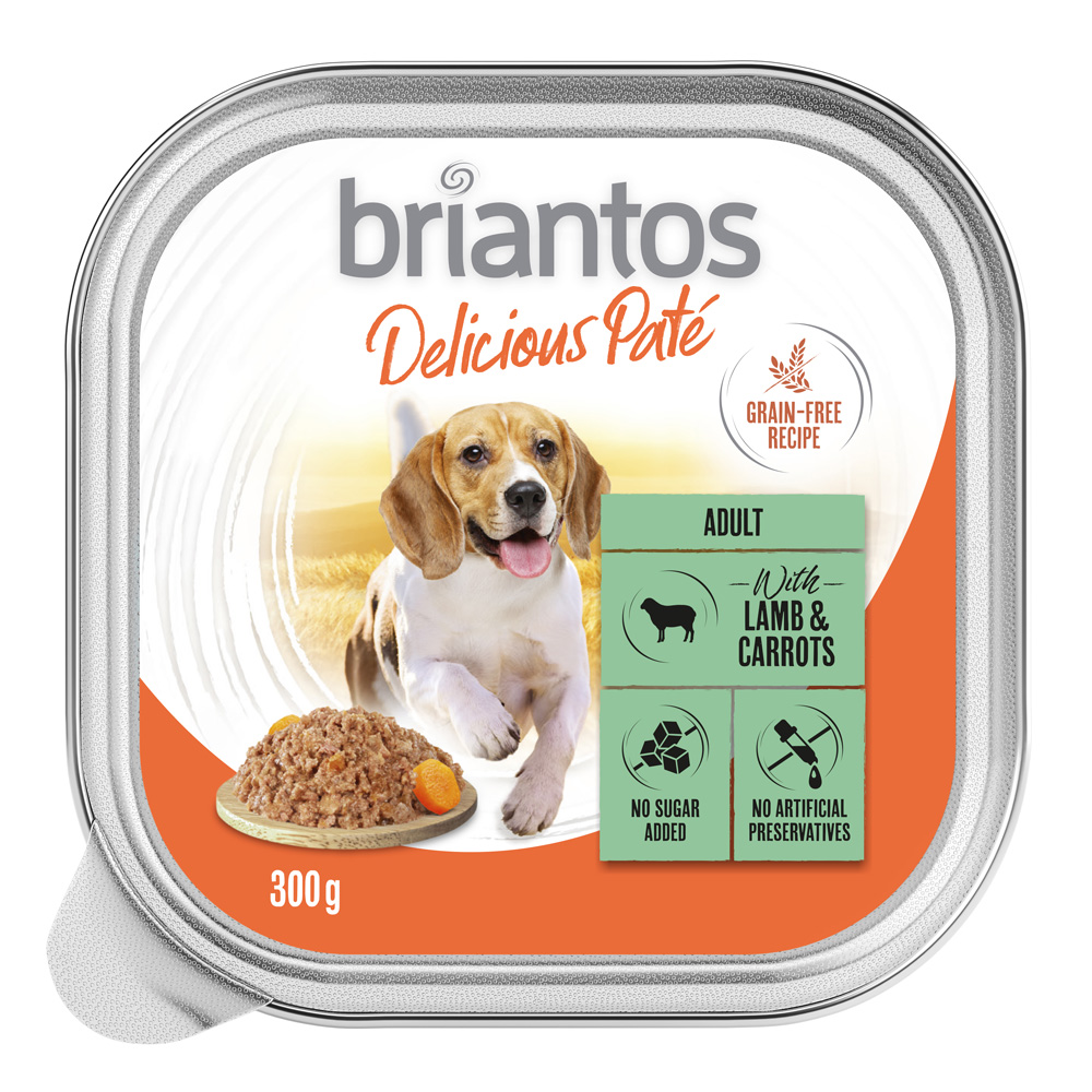 Briantos Delicious Paté 27 x 300 g - Lamm und Karotten Briantos Delicious Paté 27 x 300 g - Lamm und Karotten von briantos