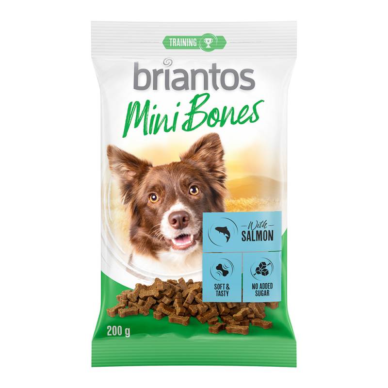 Briantos Mini Bones für Hunde - 2 x 200 g mit Lachs von briantos