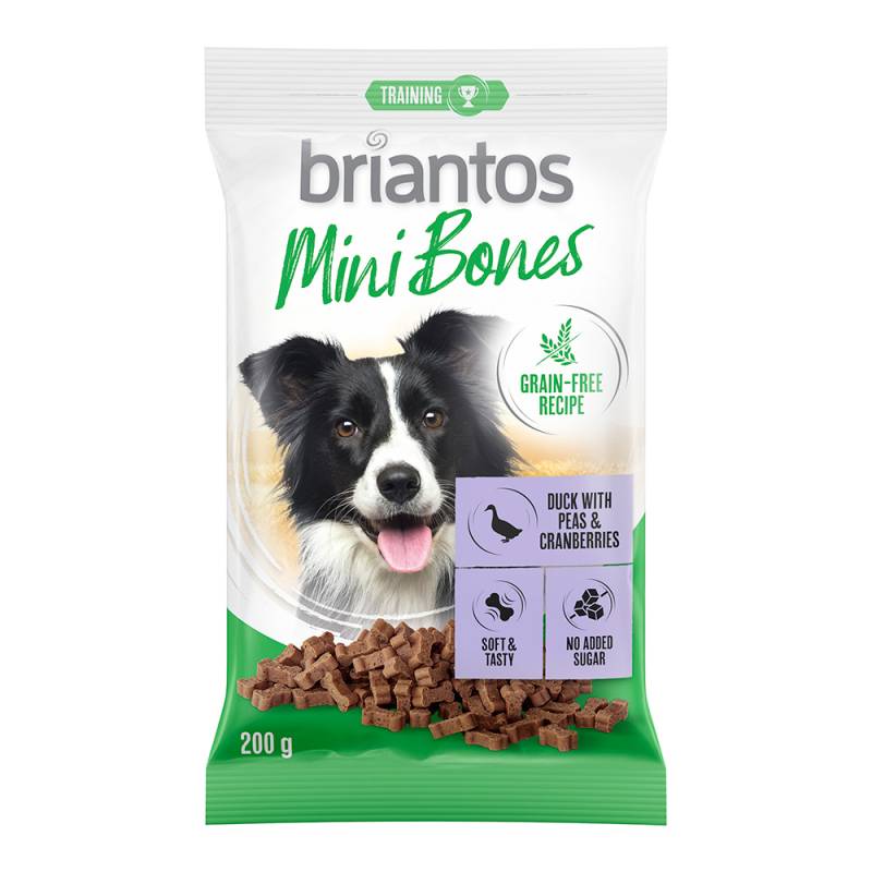 Briantos Mini Bones Getreidefreie Rezeptur für Hunde 200 g - 2 x 200 g mit Lachs, Karotten & Thymian von briantos